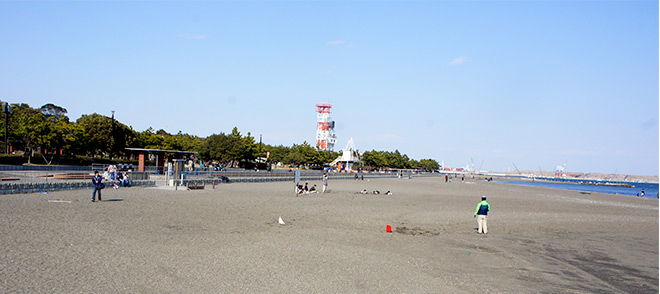 公園